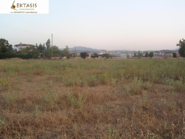 (For Sale) Land Agricultural Land  || Arkadia/Tripoli - 4.700 Sq.m, 200.000€ 