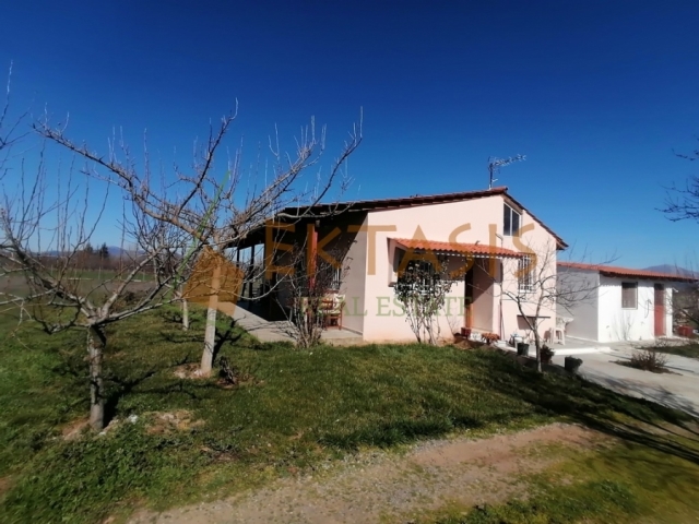 (For Sale) Residential Detached house || Arkadia/Tegea - 71 Sq.m, 1 Bedrooms, 70.000€ 