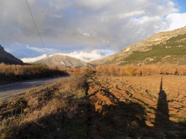 (For Sale) Land Agricultural Land  || Arkadia/Mantineia - 1.480 Sq.m, 10.000€ 