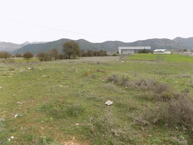 (For Sale) Land Agricultural Land  || Arkadia/Tripoli - 6.000 Sq.m, 90.000€ 