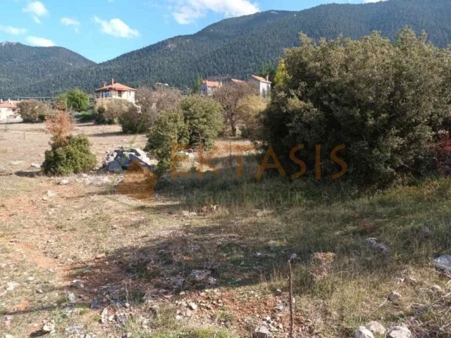 (For Sale) Land Plot || Arkadia/Vytina - 500 Sq.m, 40.000€ 