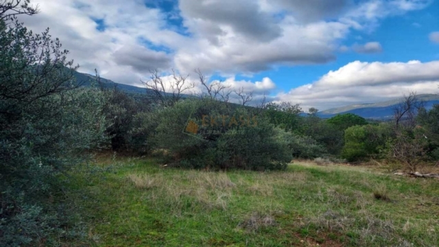 (For Sale) Land Agricultural Land  || Arkadia/North Kynouria - 4.500 Sq.m, 21.000€ 