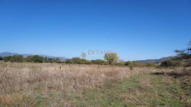 (For Sale) Land Agricultural Land  || Arkadia/Korythio - 9.300 Sq.m, 20.000€ 