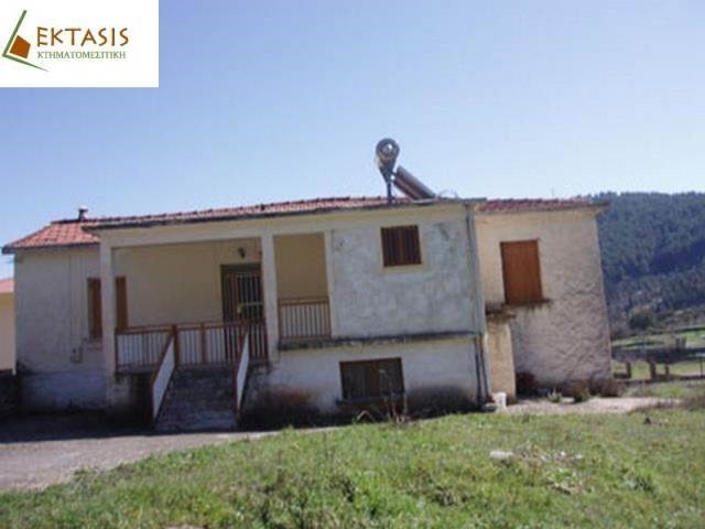 (For Sale) Residential Detached house || Arkadia/Levidi - 180 Sq.m, 2 Bedrooms, 180.000€ 