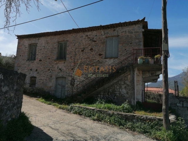 (For Sale) Residential Detached house || Arkadia/Falaisia - 150 Sq.m, 55.000€ 