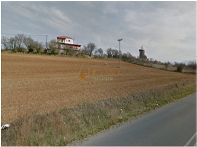 (For Sale) Land Plot out of City plans || Arkadia/Tegea - 14.000 Sq.m, 160.000€ 