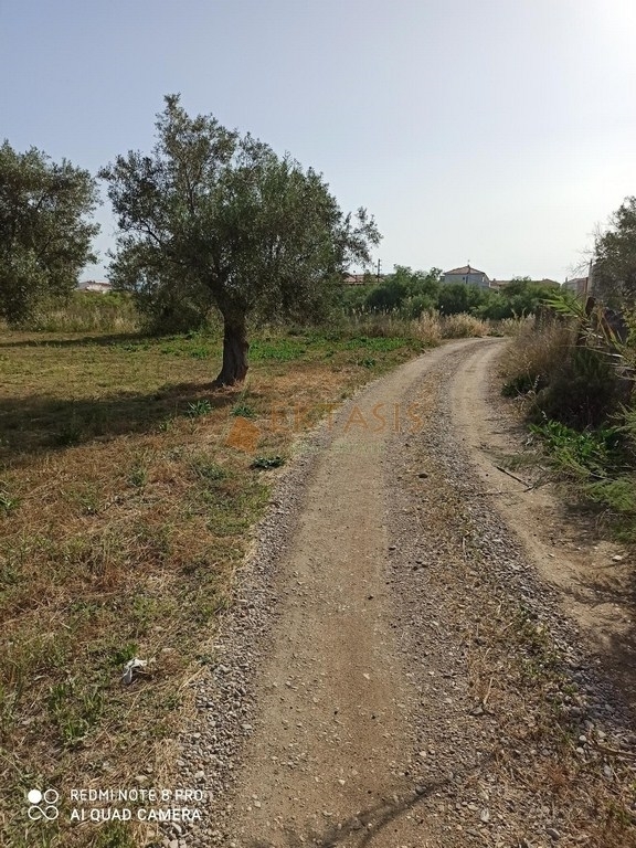 (For Sale) Land Agricultural Land  || Arkadia/North Kynouria - 4.260 Sq.m, 97.000€ 
