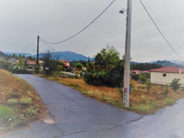 (For Sale) Land Plot || Arkadia/Vytina - 1.180 Sq.m, 110.000€ 