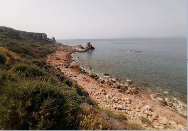 (For Sale) Land Plot || Lakonia/Molaoi - 4.225 Sq.m, 1.200.000€ 