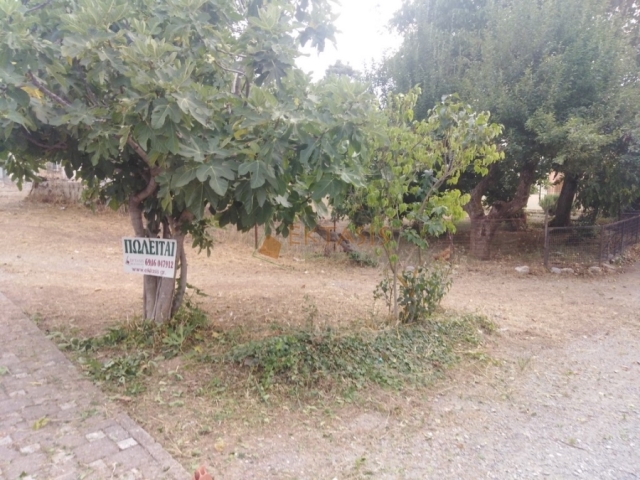 (For Sale) Land Plot || Arkadia/Tripoli - 801 Sq.m, 180.000€ 