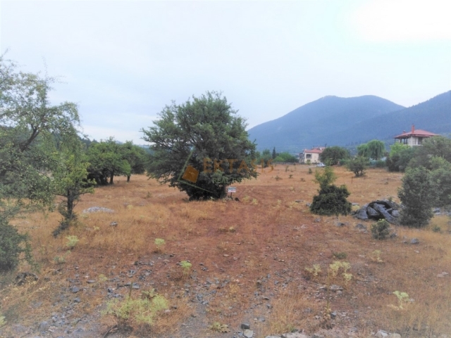 (For Sale) Land Plot || Arkadia/Vytina - 650 Sq.m, 70.000€ 