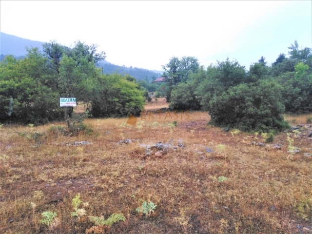 (For Sale) Land Plot || Arkadia/Vytina - 470 Sq.m, 55.000€ 