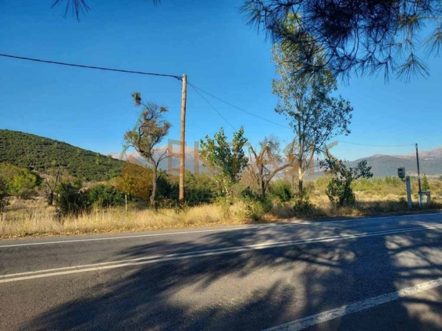 (For Sale) Land Plot || Arkadia/Mantineia - 461 Sq.m, 60.000€ 