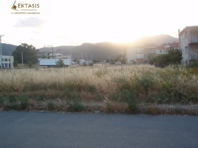 (For Sale) Land Plot || Arkadia/Tripoli - 252 Sq.m, 45.000€ 