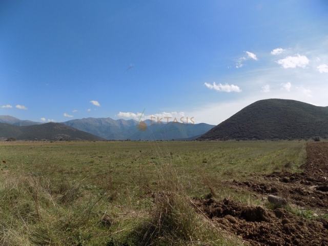 (For Sale) Land Agricultural Land  || Arkadia/Levidi - 9.860 Sq.m, 18.000€ 