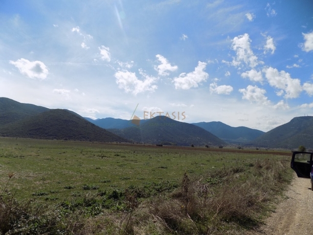 (For Sale) Land Agricultural Land  || Arkadia/Levidi - 35.800 Sq.m, 55.000€ 