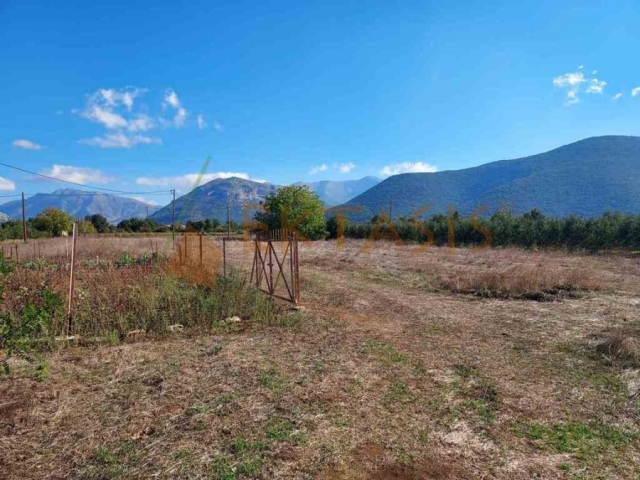 (For Sale) Land Agricultural Land  || Arkadia/Korythio - 12.388 Sq.m, 38.000€ 