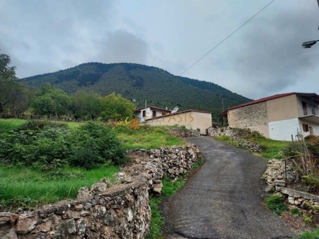 (Προς Πώληση) Αξιοποιήσιμη Γη Οικόπεδο || Ν. Αρκαδίας/Λεβίδι - 323 τ.μ, 30.000€ 