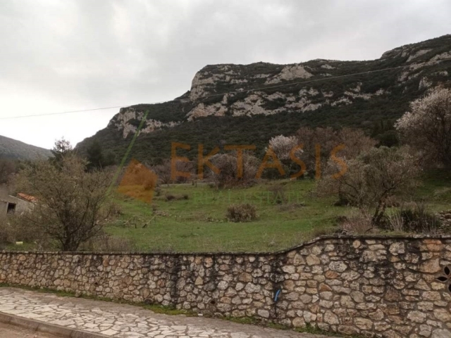 (Προς Πώληση) Αξιοποιήσιμη Γη Οικόπεδο || Ν. Αρκαδίας/Λεβίδι - 513 τ.μ, 30.000€ 