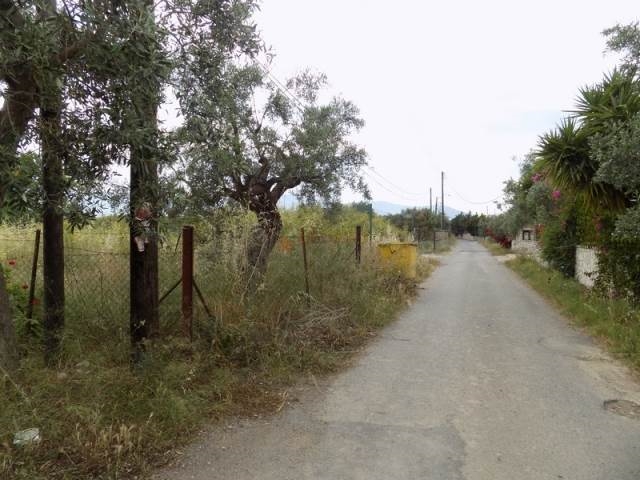 (For Sale) Land Plot || Arkadia/North Kynouria - 430 Sq.m, 70.000€ 