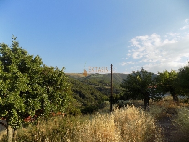 (For Sale) Land Plot || Arkadia/North Kynouria - 610 Sq.m, 18.000€ 