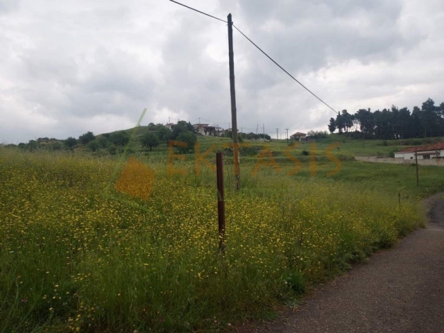 (For Sale) Land Plot || Arkadia/Tripoli - 4.000 Sq.m, 60.000€ 