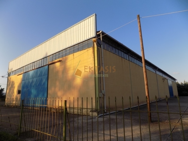 (For Sale) Commercial Industrial Area || Arkadia/Tripoli - 1.450 Sq.m, 900.000€ 