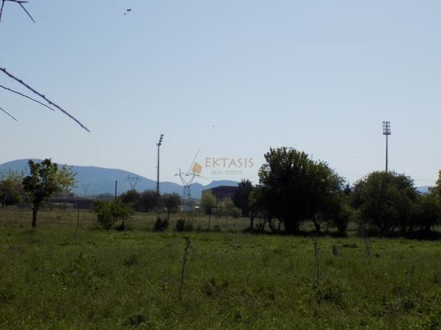 (For Sale) Land Plot || Arkadia/Tripoli - 6.100 Sq.m, 150.000€ 