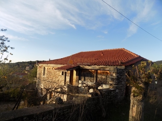 (Προς Πώληση) Κατοικία Μονοκατοικία || Ν. Αρκαδίας/Τεγέα - 275 τ.μ, 5 Υ/Δ, 88.000€ 