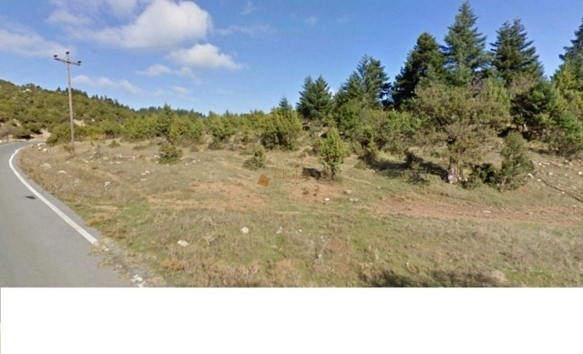 (For Sale) Land Agricultural Land  || Arkadia/Lagadia - 36.800 Sq.m, 380.000€ 