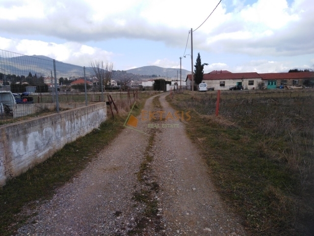 (Προς Πώληση) Αξιοποιήσιμη Γη Αγροτεμάχιο || Ν. Αρκαδίας/Τρίπολη - 4.780 τ.μ, 80.000€ 