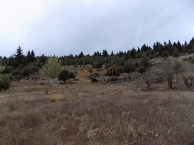 (For Sale) Land Agricultural Land  || Arkadia/Vytina - 7.880 Sq.m, 120.000€ 