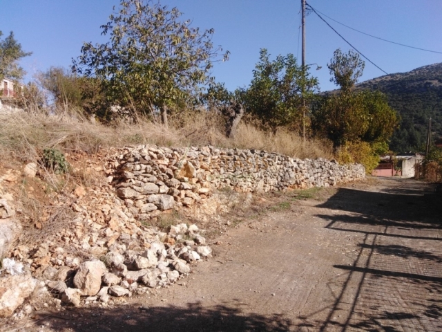 (For Sale) Land Plot || Arkadia/Tegea - 310 Sq.m, 15.000€ 