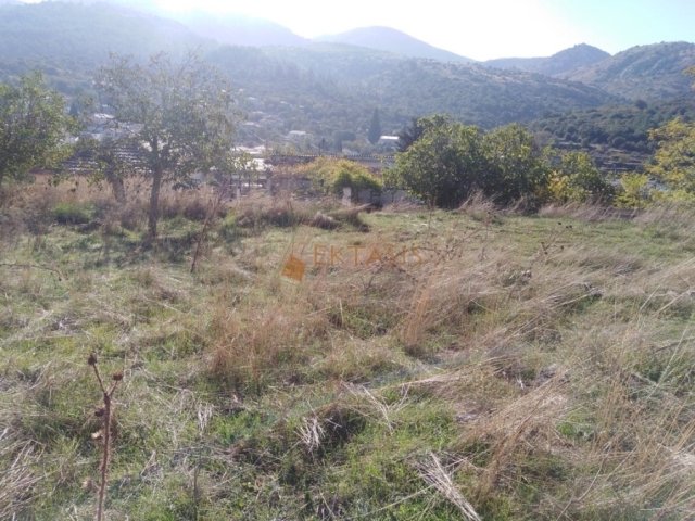 (For Sale) Land Plot || Arkadia/Tegea - 400 Sq.m, 15.000€ 