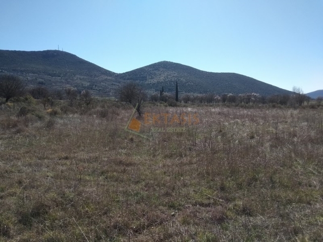 (For Sale) Land Large Land  || Arkadia/Mantineia - 40.000 Sq.m, 200.000€ 