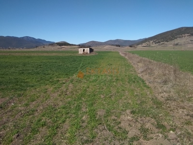 (For Sale) Land Large Land  || Arkadia/Mantineia - 22.000 Sq.m, 60.000€ 