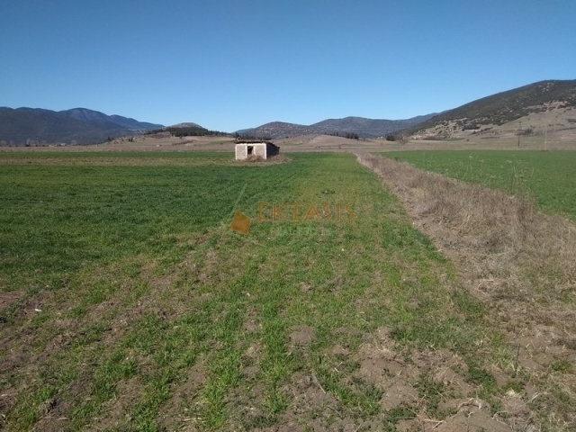 (For Sale) Land Large Land  || Arkadia/Mantineia - 14.500 Sq.m, 50.000€ 