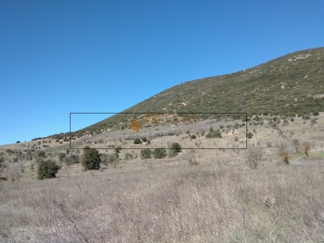 (For Sale) Land Large Land  || Arkadia/Mantineia - 66.000 Sq.m, 90.000€ 