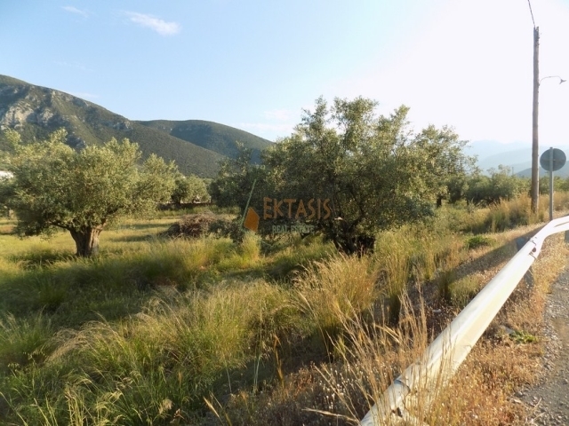 (Προς Πώληση) Αξιοποιήσιμη Γη Αγροτεμάχιο || Ν. Αρκαδίας/Βόρεια Κυνουρία - 8.500 τ.μ, 65.000€ 