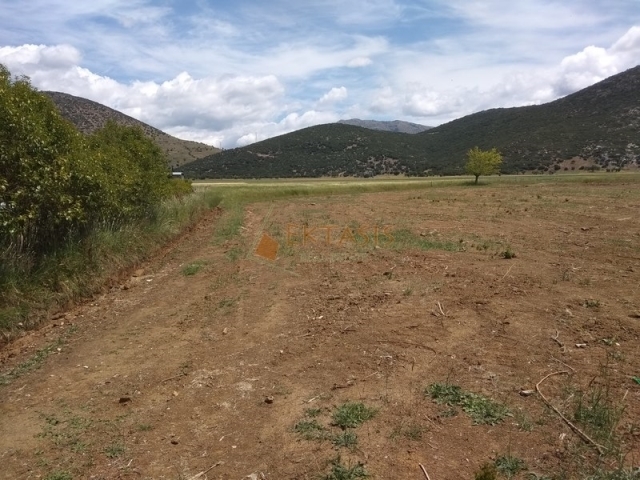 (For Sale) Land Agricultural Land  || Arkadia/Mantineia - 10.100 Sq.m, 30.000€ 