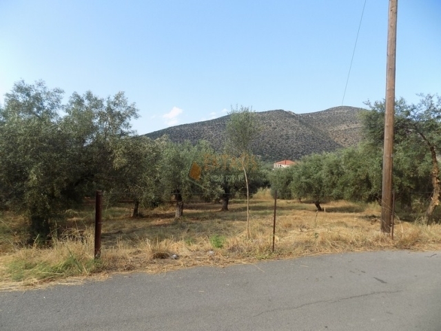 (For Sale) Land Plot || Arkadia/North Kynouria - 521 Sq.m, 45.000€ 