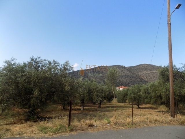 (For Sale) Land Plot || Arkadia/North Kynouria - 642 Sq.m, 35.000€ 