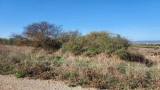 slide1 thumbnail