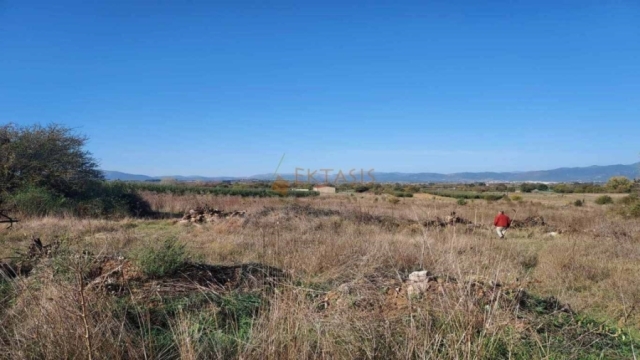 (For Sale) Land Agricultural Land  || Arkadia/Korythio - 13.720 Sq.m, 29.000€ 