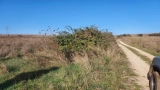 slide1 thumbnail