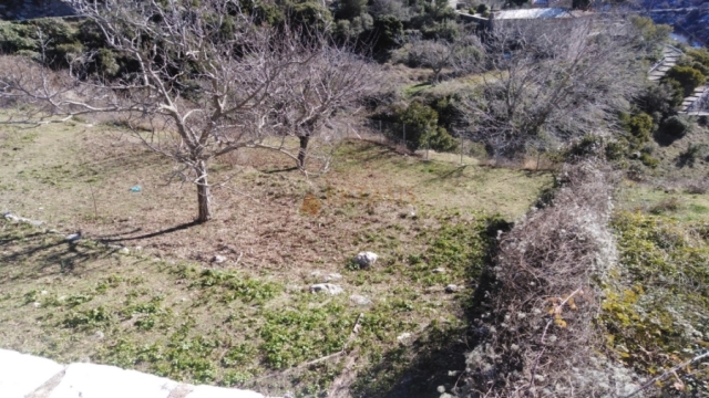 (For Sale) Land Plot || Arkadia/Trikolonio - 790 Sq.m, 75.000€ 