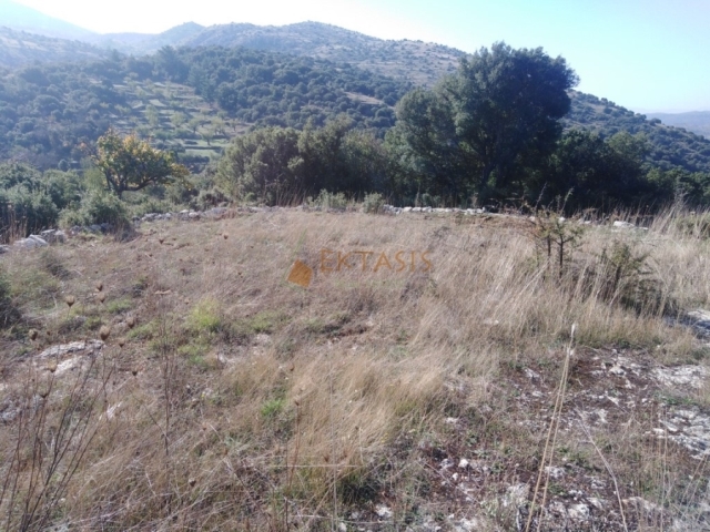 (For Sale) Land Agricultural Land  || Arkadia/Tegea - 7.500 Sq.m, 22.000€ 