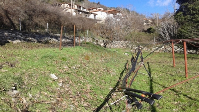 (Προς Πώληση) Αξιοποιήσιμη Γη Οικόπεδο || Ν. Αρκαδίας/Δημητσάνα - 1.330 τ.μ, 67.000€ 