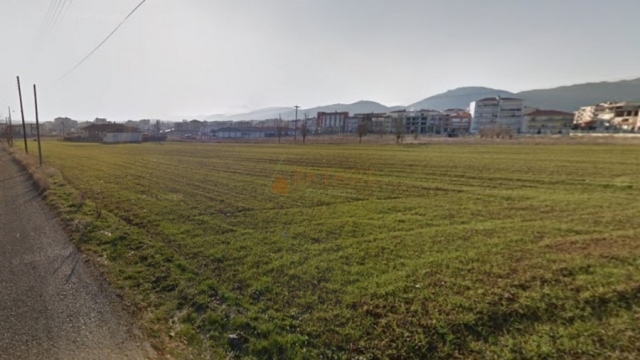 (For Sale) Land Agricultural Land  || Arkadia/Tripoli - 7.300 Sq.m, 190.000€ 