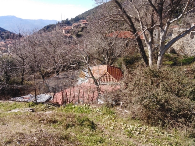 (Προς Πώληση) Αξιοποιήσιμη Γη Οικόπεδο || Ν. Αρκαδίας/Τρικολώνιο - 220 τ.μ, 35.000€ 